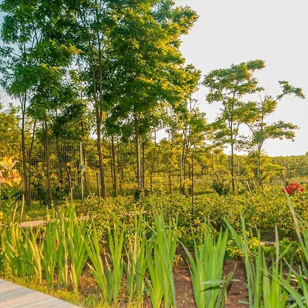 Pensiunea Agroturistica Valentino 코스티네스티