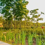 Pensiunea Agroturistica Valentino Costinesti