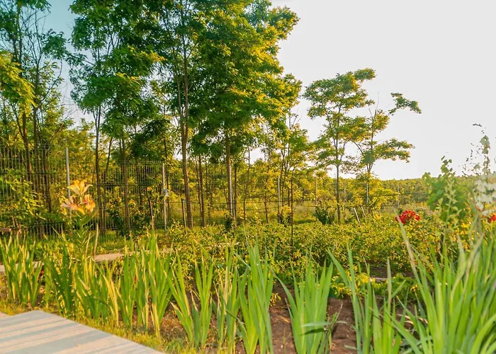 Pensiunea Agroturistica Valentino Costinesti